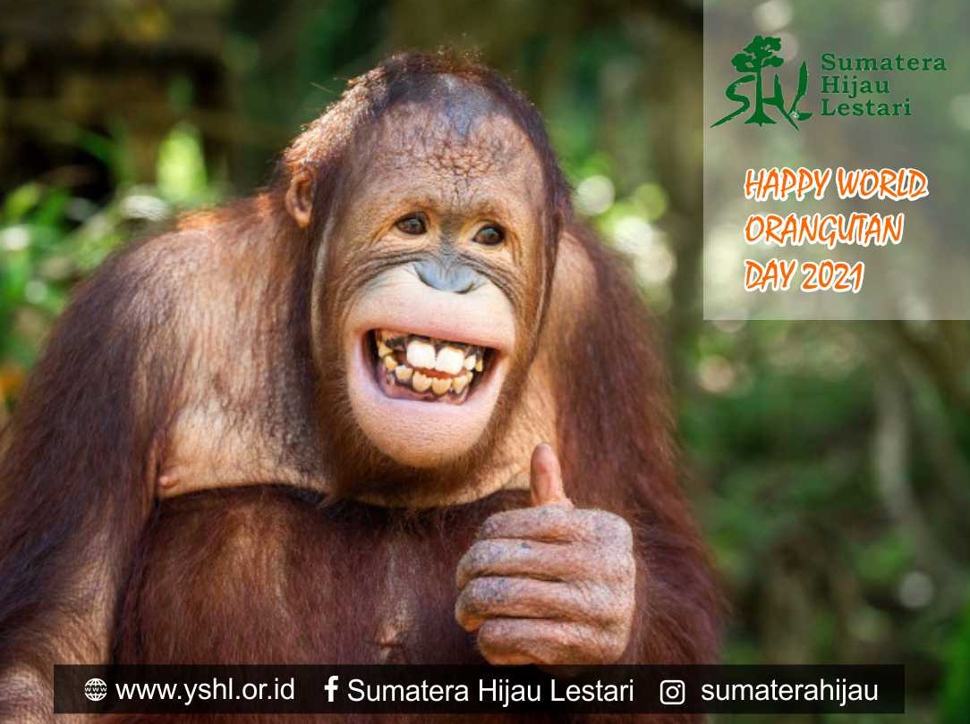 Mengenal Lebih Dekat Tentang Satwa Langka di Indonesia
