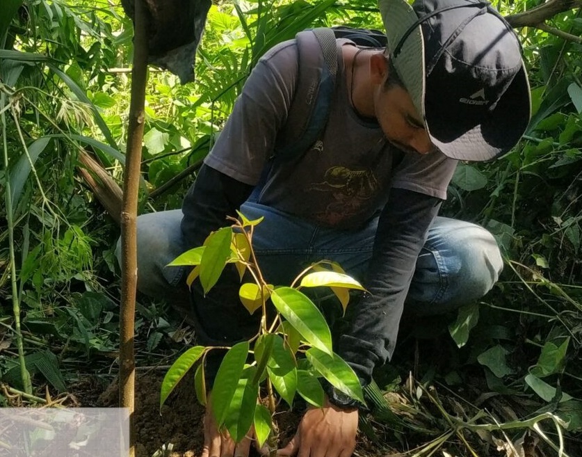 Peran Pendidikan dalam Mempromosikan Pengelolaan Sumber Daya Hutan yang Berkelanjutan