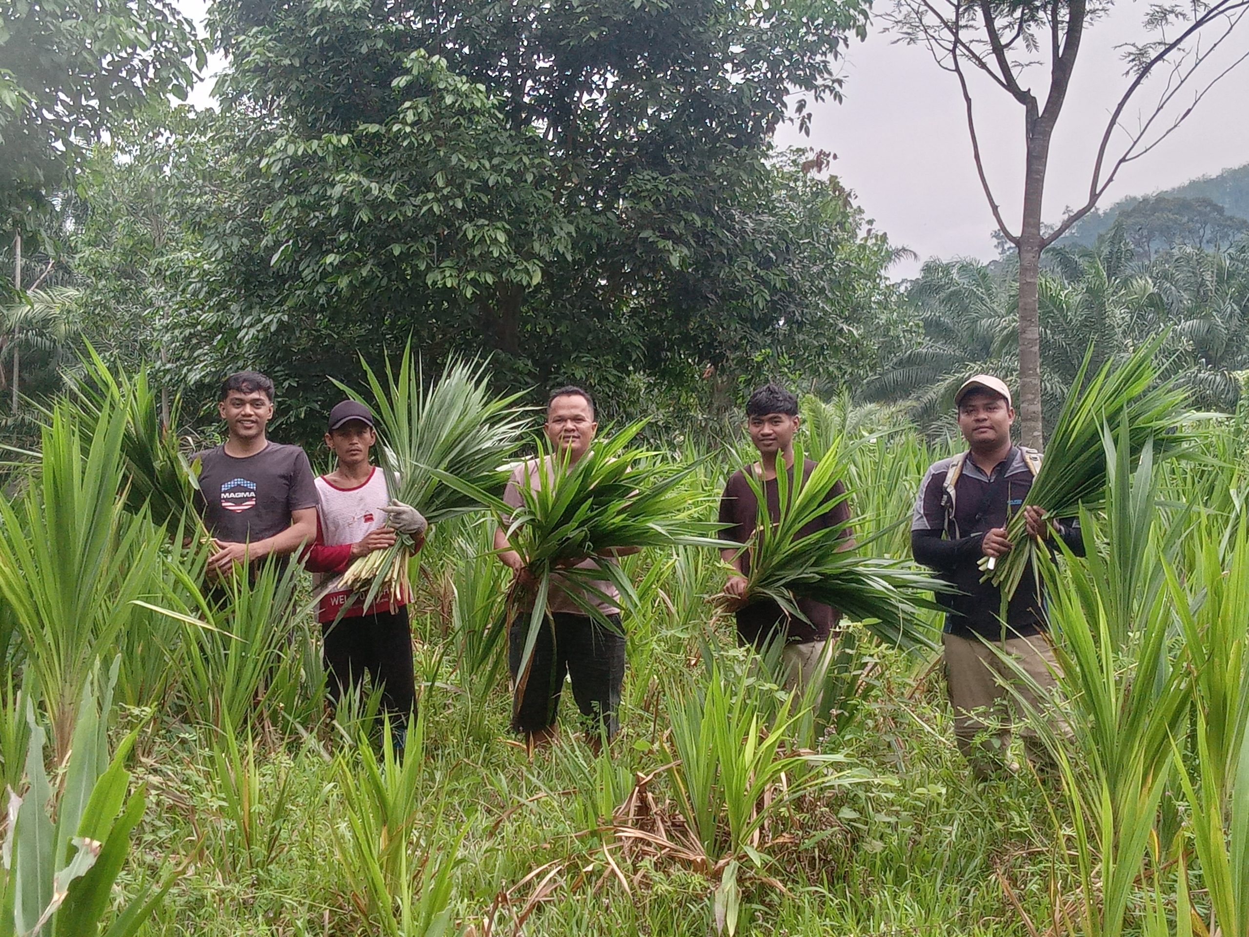 Harapan Baru untuk Peternak Kecil di Tengah Perubahan Lanskap